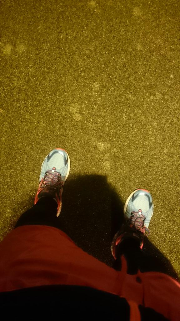 EllenMellon_88's tweet photo. Had to have a nice quick 10 k to try out new running shoes, I love them #happrunner #runchat #BrooksRunning 🏃 https://t.co/GDKNhFEg5X