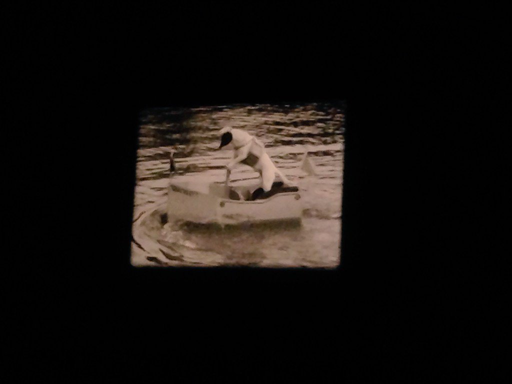 homemoviedayla's tweet photo. Definitely a crowd pleaser: A very meticulously staged dog water race, circa 1952. What talented animals! #HMD2015 https://t.co/6kawesCtdq