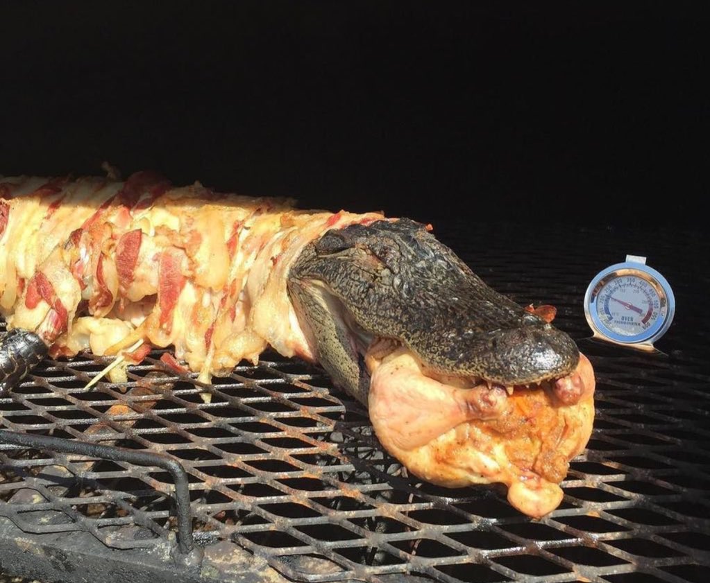 darrenrovell's tweet photo. At Tampa's Pig Jig BBQ contest, some guy is cooking a bacon wrapped gator w/a chicken in its mouth (via @RyanNegri) https://t.co/RBGmX1Ck0A