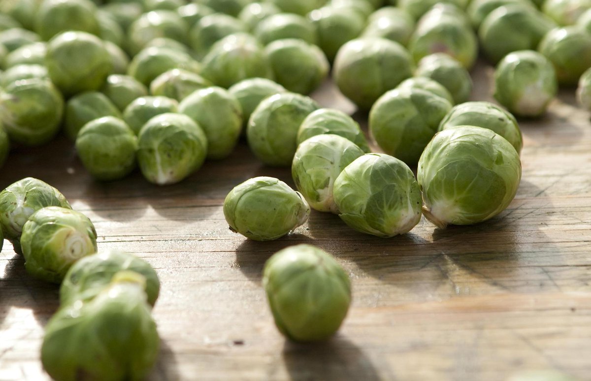 WholeFoods's tweet photo. Autumn through spring is peak-season for these mini-cabbage look-alikes...  https://t.co/fzvRfvXPCm https://t.co/exjLHbIJ4e