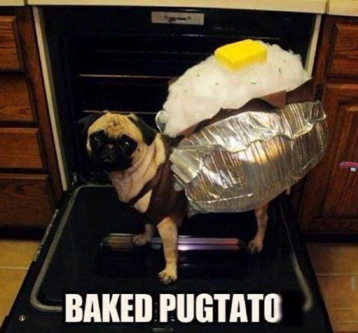 Potato2Send's tweet image. Potatoes make awesome costumes ;)