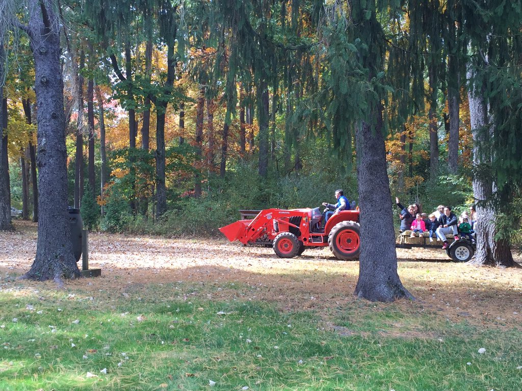 Sunday_Supper's tweet photo. Such a perfect day for a hay-ride! #fall #hayride #dogwoodsfarm https://t.co/AvsbZOxJoG