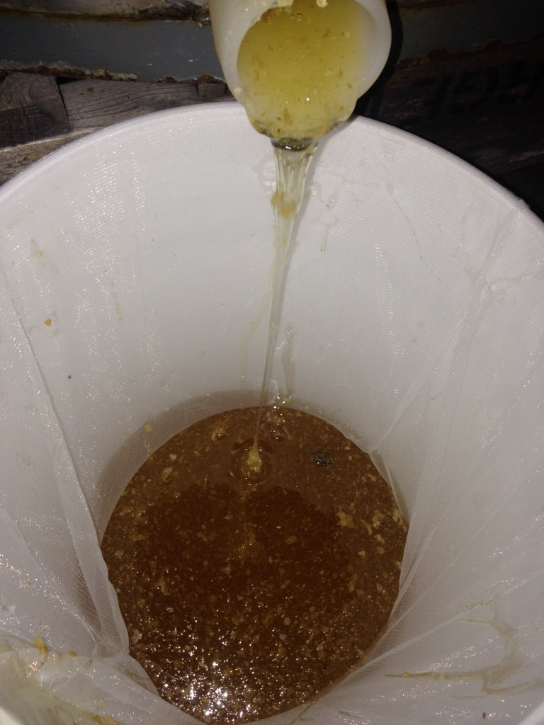 ABCbees's tweet photo. @GrowCalgary! Your #honey is ready!! https://t.co/7aDuyqG1ad