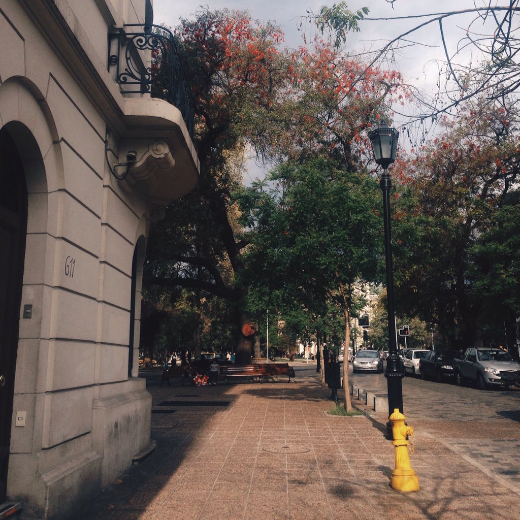 MiraStgo's tweet photo. sábado en #Santiago 🌳 https://t.co/DghszwKLHd