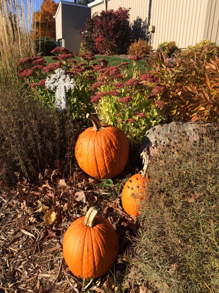 ChipotleCup's tweet photo. Great fall day for Whitney and AJ wedding. #teacherpluspreacher https://t.co/lA15UIgkPr