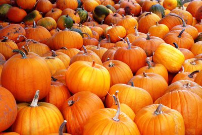 selfsuffguide's tweet image. Pumpkin Soup Recipe completeguidetoselfsufficiency.com/pumpkin-soup-r…