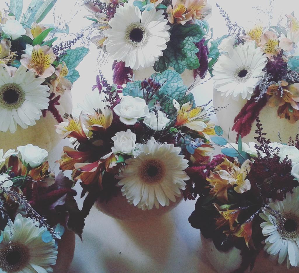 Last event of the season! Ended with a rustic fundraiser at @wolffarmmarket