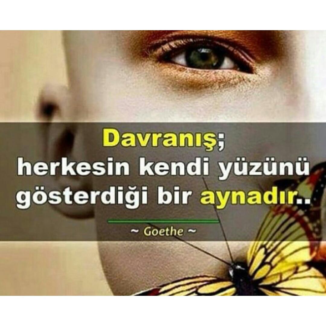 dila_koi's tweet photo. #iyigeceler 😇 🌛 https://t.co/ehiAh0Msdz