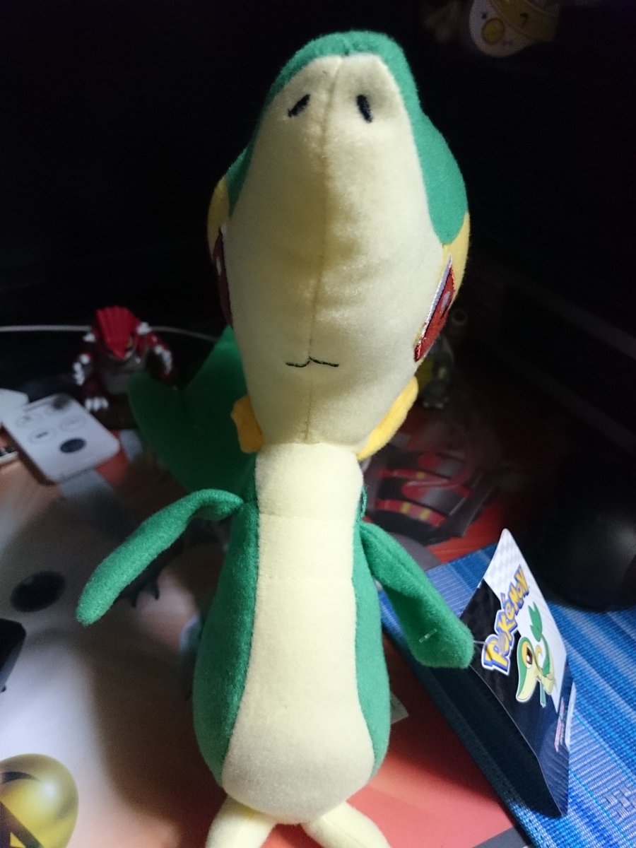 驚きの顔 突然の正面顔