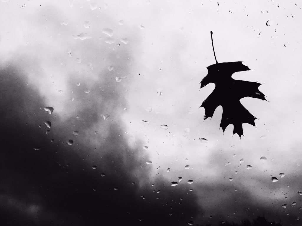 TDARedWood's tweet photo. "like the rain come down and wash it all away" // silent wasteland // we are RedWood // excited for the future https://t.co/uxq862lIfY