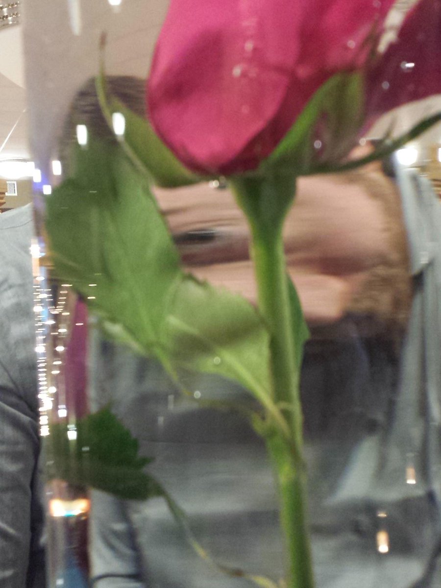 ekhall07's tweet photo. Beauty and  the  beast cyclopse. #spindjs https://t.co/8YtWwDXubL