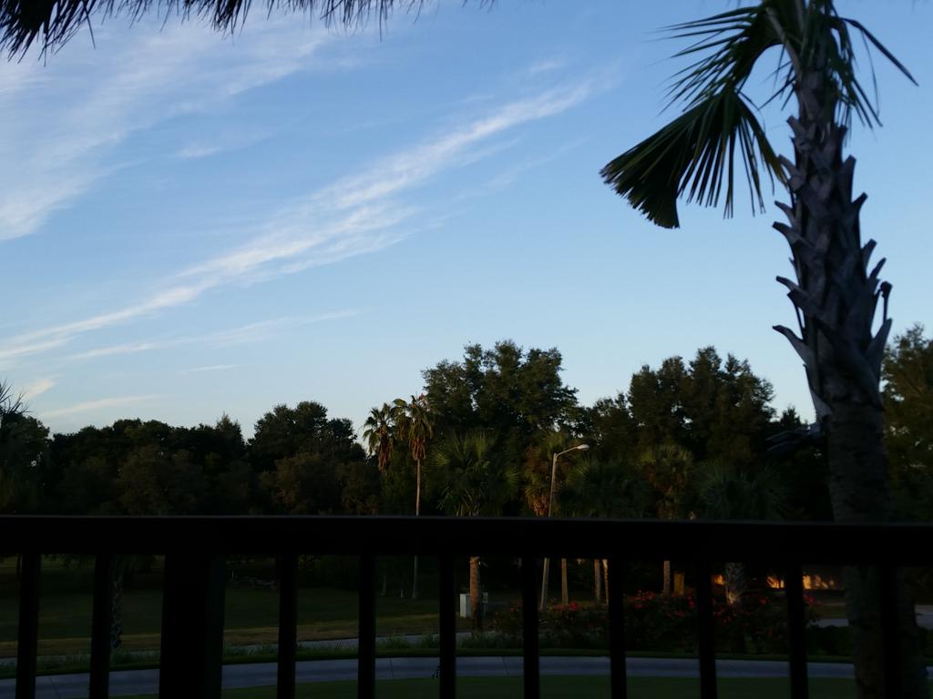 CuzImStillHere's tweet photo. #TikiBarTime #Florida ๐ด https://t.co/BR6WVakwR8