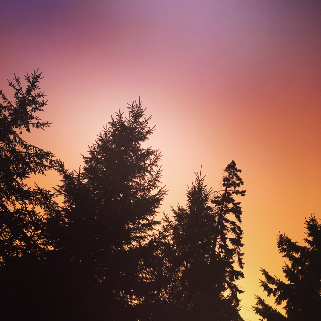 EllieBellie0919's tweet photo. #MyFallPhoto #Minnesota #fallstorm https://t.co/Oo27h4NOEF