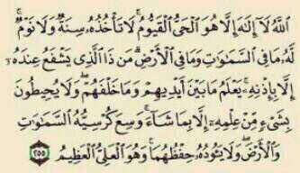 🇸🇦 Saad tweet media