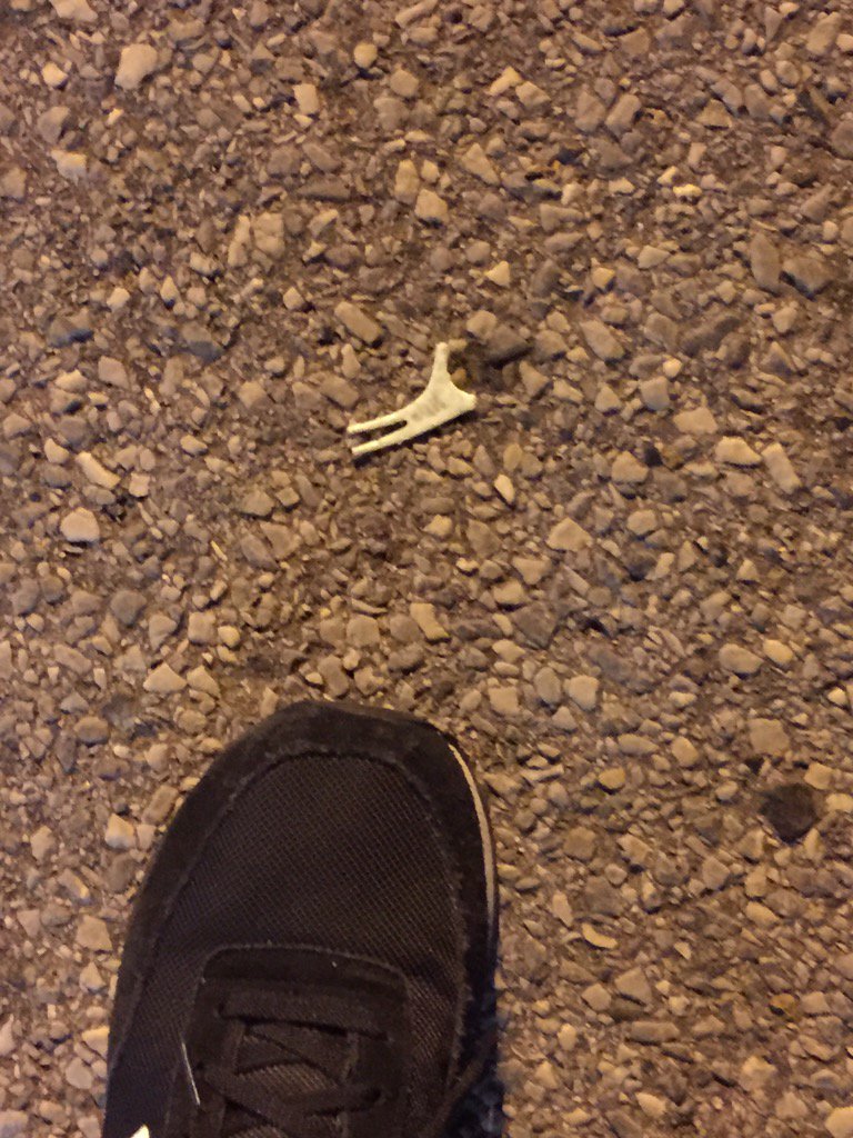 Bob_of_Skull's tweet photo. @Montygog planet fitness parking lot #WILMINGTONDE #Riverfront #bustd #cleanteethdirtystreets https://t.co/kiaSNRybDB