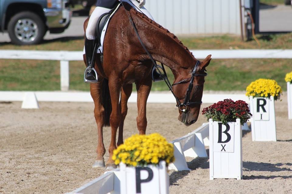 Tik Maynard Company tweet media