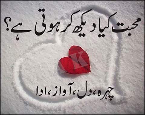zonahib's tweet photo. @_PwincessShuffy https://t.co/NLXpqGfRFp