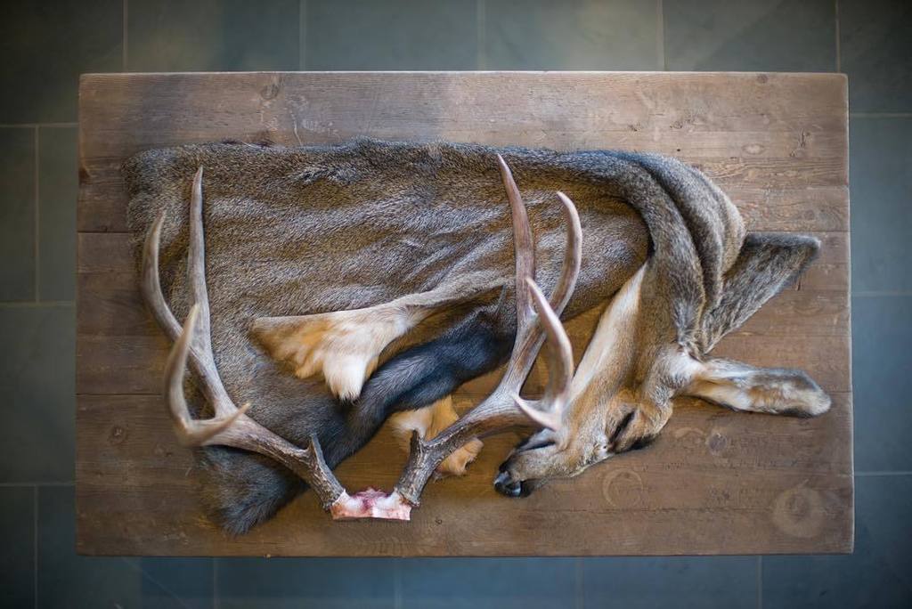 SeacatCreative's tweet photo. Photo: @westseacat Another completely unique look into our world. #seacatcreative @sitkagear @leicahunting @gorete… https://t.co/dppkyWF22P