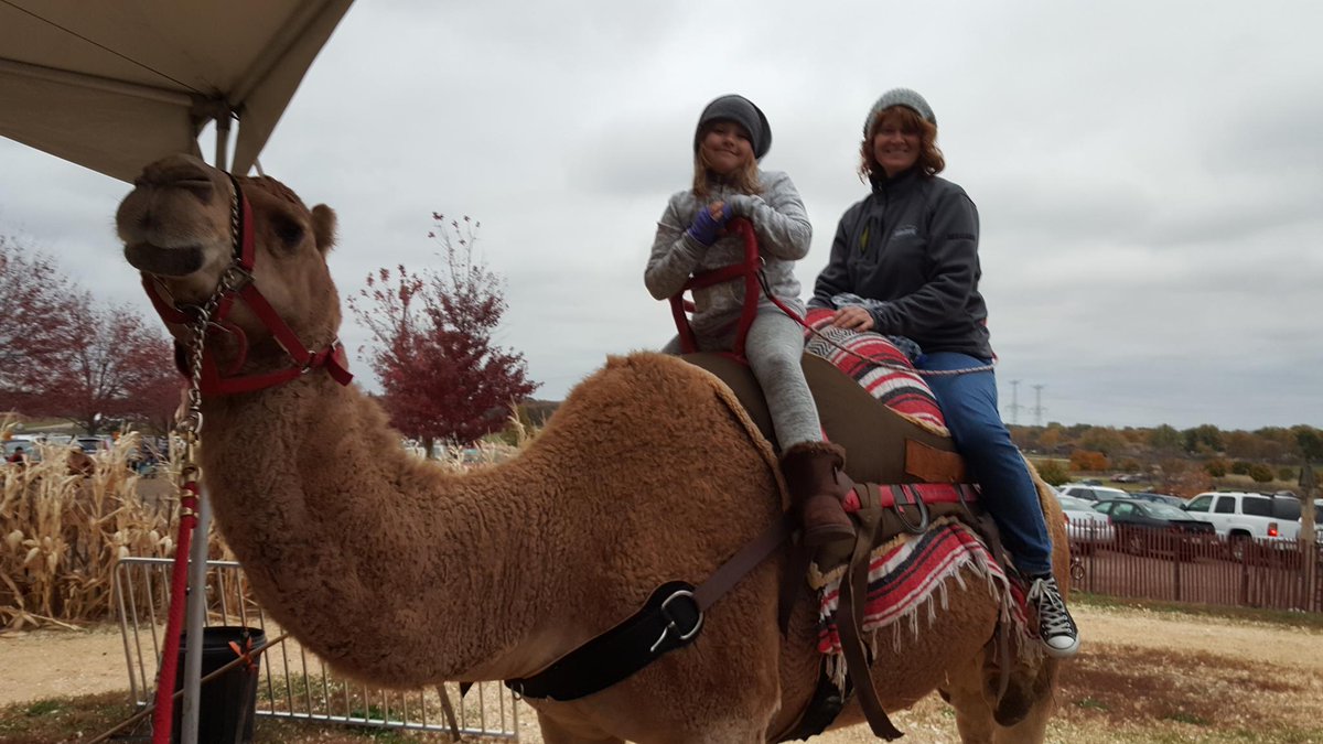 Might be cold out but this camel had no problem giving us a ride.