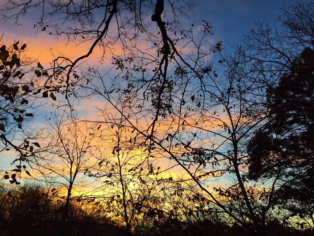 I cherish moments like this. It's just me and the nearly silent woods that surround me.... And I feel at peace.