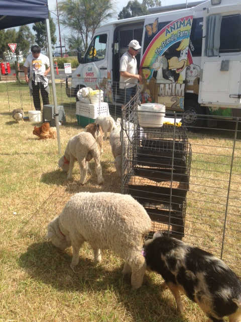 GreaterGeelong's tweet photo. Todays FREE family fun day at the Potato Shed 11-3pm. Animal farm, entertainment, face painting and more! https://t.co/LBR2TvUJdC