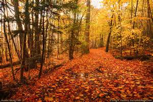 “Just because the road is rocky doesn't mean your spirits should get rocky too.” Quigley Down Under <a href="/ChrysPhillips/">Chrys Phillips</a>