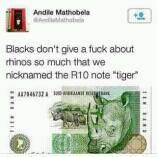 Wellem_weezy's tweet photo. https://t.co/10O0PbGPh1