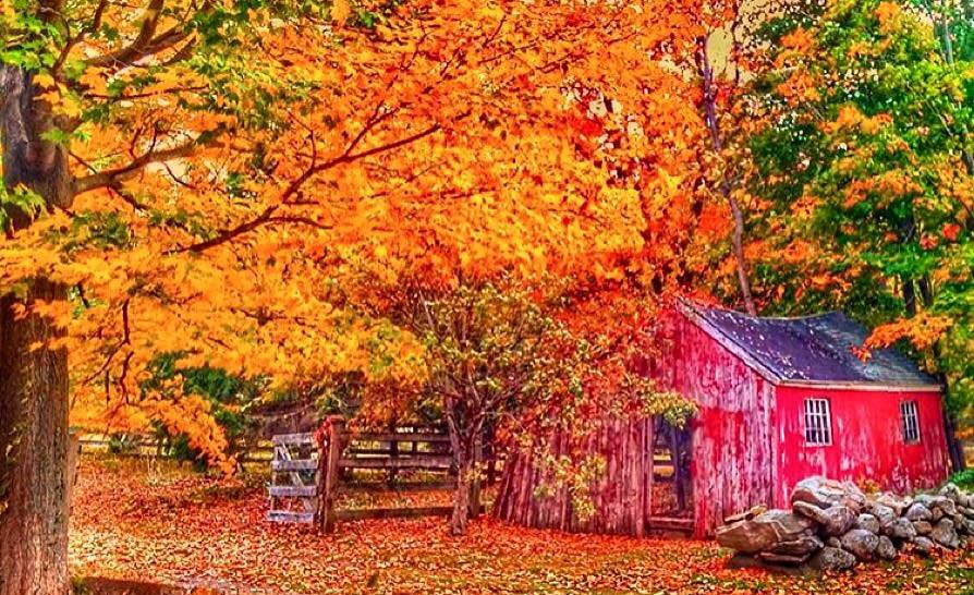connecticutgram's tweet photo. Washington barn amid fall foliage. See more photos at https://t.co/EDhzxuhx8N and https://t.co/N6zNomB8J6. https://t.co/v2FlgrWGq4
