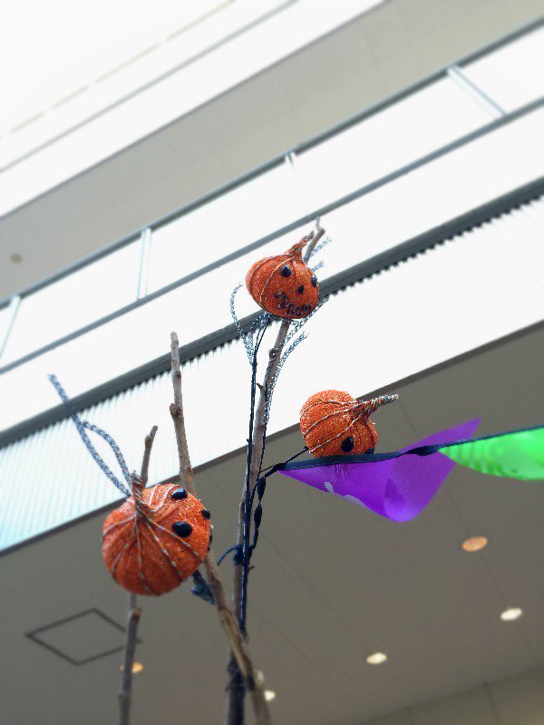 GK_Harrys76's tweet photo. 今日もあちこちの店で
子供たちが「trick or treat！」 https://t.co/lMIXVvjFPX