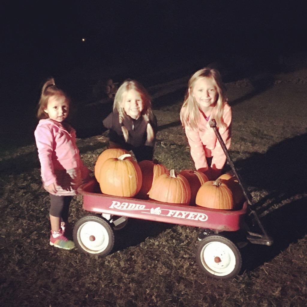 rbrack84's tweet photo. #PumpkinPatchKids https://t.co/HgwWsvSEUJ