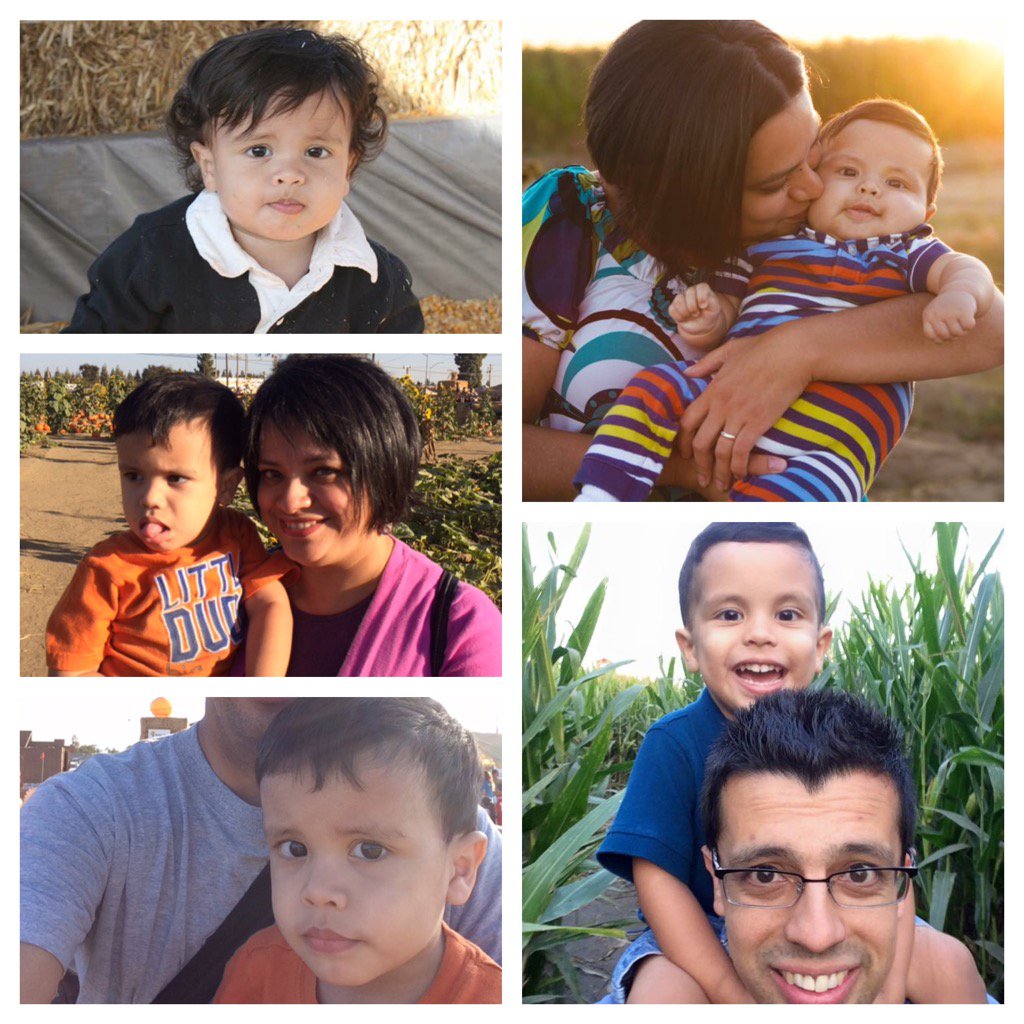 holymoly67's tweet photo. Adrian's visits to the pumpkin patch the last 4 years. https://t.co/oXnOUKMxbR