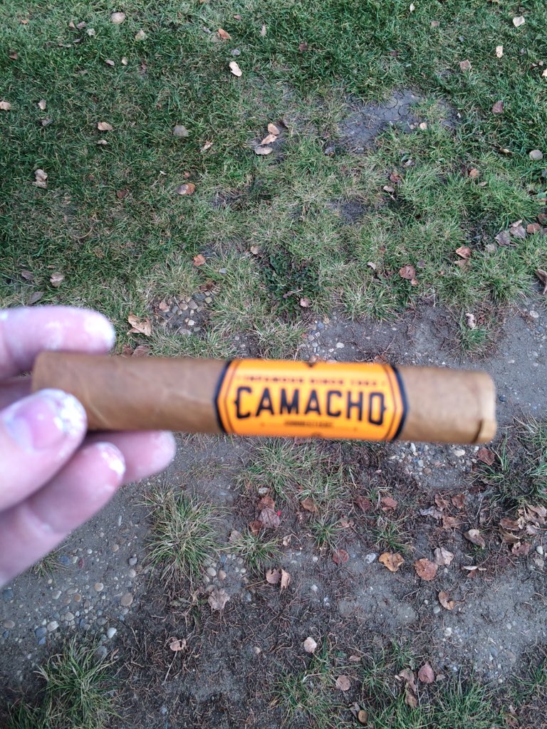 Mike_W_Simpson's tweet photo. @KennethRosal @FTBMelanie @AkilPetersen @photogra4 @oneweedram @ARRESTAGEMAN @MalteseXX @camachocigars #Connecticut https://t.co/poJgdyEH4w