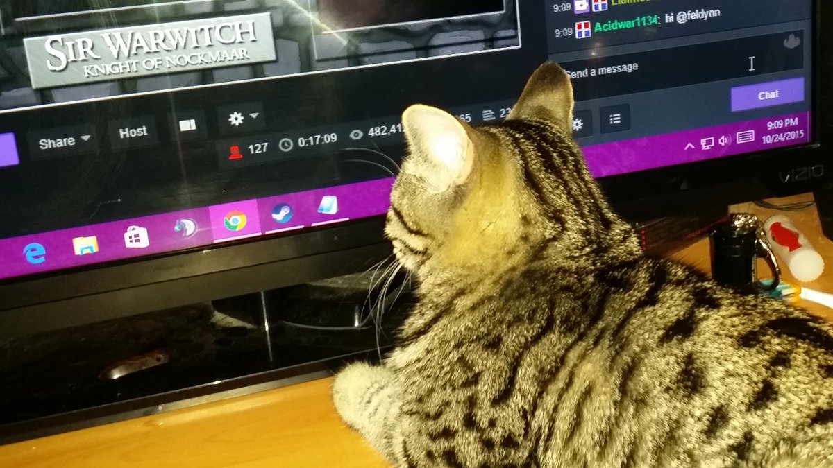 TechKnowCat's tweet image. @WarwitchTV  my kitten likes your stream apparently :D