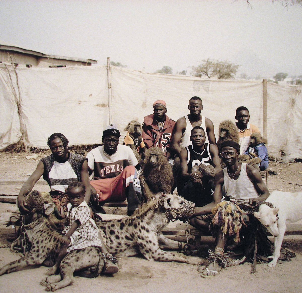 A gang with their Four baboons, two hyenas, one dog, one rock python.