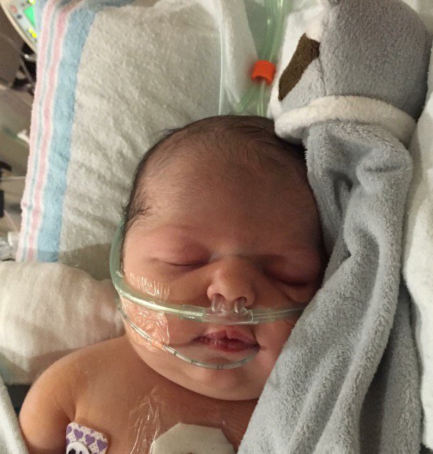 wilsonbella's tweet photo. I love seeing the progress of this sweet bundle of joy!!! Such a fighter we have joining our family! #cousinlove https://t.co/PNrcPRZKou