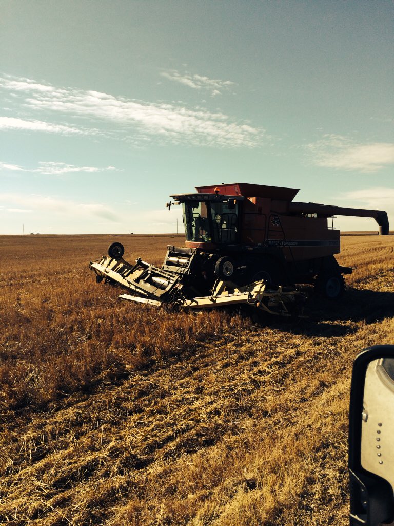 The neighbours are having a <a href="/GrainFarmProbs/">Grain Farm Probs</a> kinda day. Old header totally folded once it hit the #SpookyDurum fuck