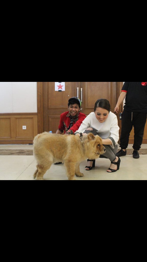 berto pah (@bertopah) on Twitter photo 