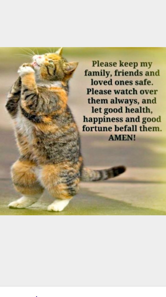 JoniCoken's tweet photo. @JDShuttlesworth https://t.co/Clb3Bs72AX