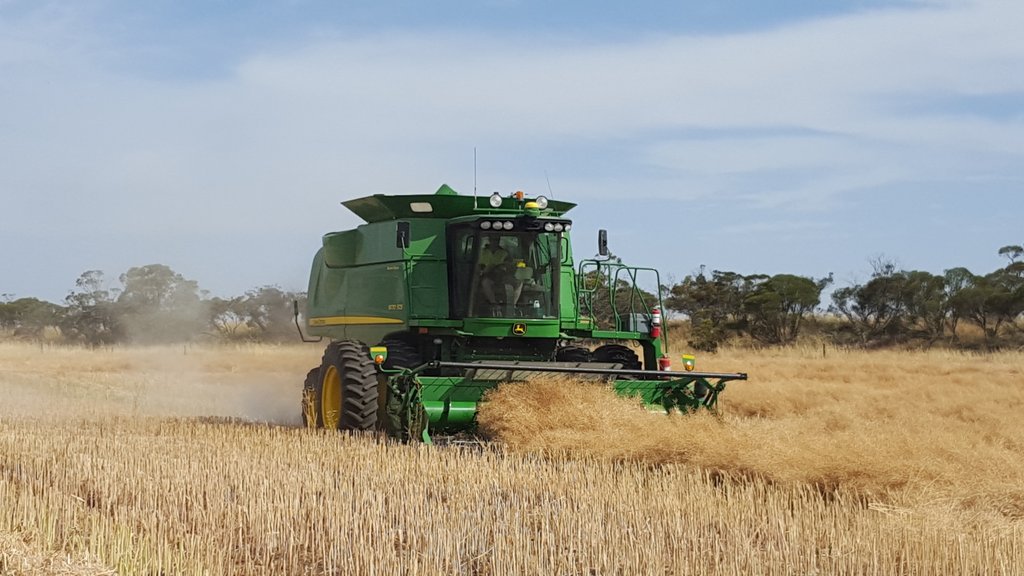 julesburty's tweet photo. Tried some Barley, not ready so moved to Canola....all good#harvest2015 @burtyjason https://t.co/4IYGPP5oBF