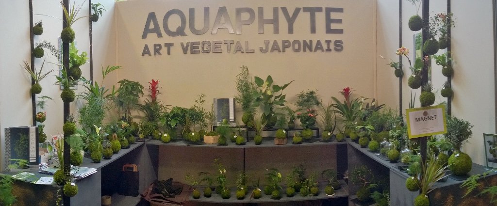 BenardAlice's tweet photo. Aquaphyte à la Foire de Paris ! #kokedama https://t.co/zi3kPLzNOT