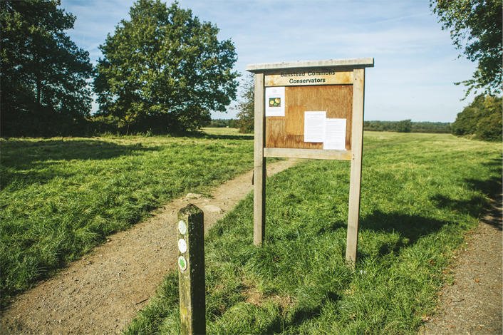 reigatebanstead's tweet photo. Whose walked around here before? 😀👣 Such a beautiful open space. #BansteadCommon�🍃� https://t.co/To96ns66vz