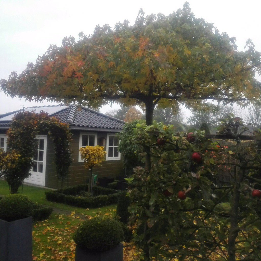 BoxTreeCottage's tweet photo. Herfst bij The Box-Tree Cottage.
🍂🍁🍃🍄🌰🍎🌰🍄🍃🍁🍂 #bedandbreakfast #tuin #herfst https://t.co/bsekesUubT