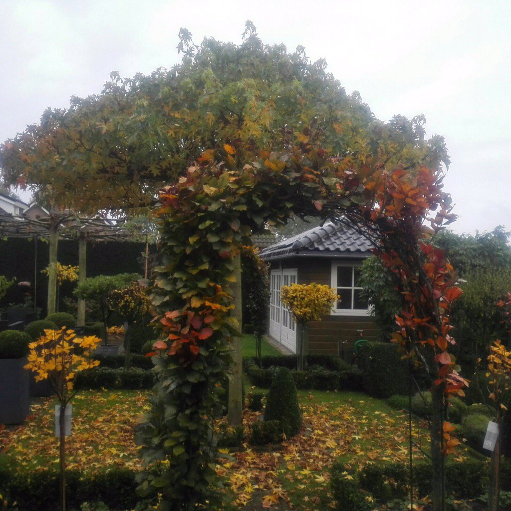 BoxTreeCottage's tweet photo. Herfst bij The Box-Tree Cottage.
🍂🍁🍃🍄🌰🍎🌰🍄🍃🍁🍂 #bedandbreakfast #tuin #herfst https://t.co/bsekesUubT