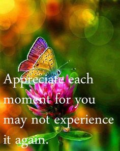 2thank's tweet photo. Take a moment every day to appreciate and feel thankful to the good things in your life. https://t.co/9XlxilDVDX