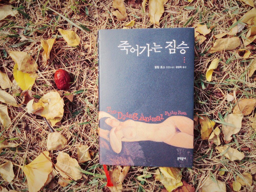 a_book_with_you's tweet photo. 현혹되어 있을 때는 생각을 너무 많이 하지 않고 그냥 마음 편히 그 현혹을 즐기는 게 도움이 돼. _필립 로스 『죽어가는 짐승』 https://t.co/y003T6ZZst
