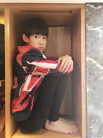 wang_yua's tweet photo. 马上15岁了，已经装不进去了[泪]（真的没有放大眼睛哦） https://t.co/czzdmN48EV