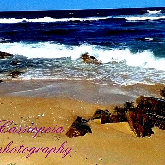 caspics's tweet photo. #beachingit https://t.co/EhkwXkAUKc