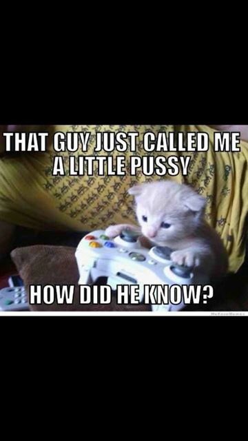 EmptySoulAngle's tweet image. Gamers