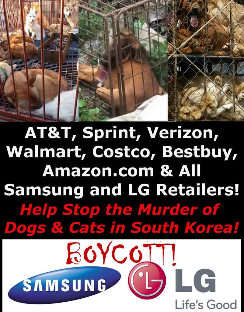 catsfromulthar's tweet image. Don't support a Nation that tortures dogs/cats ❗BOYCOTT #SouthKorea ❗ #HelpKoreanDogs m.facebook.com/story.php?stor…