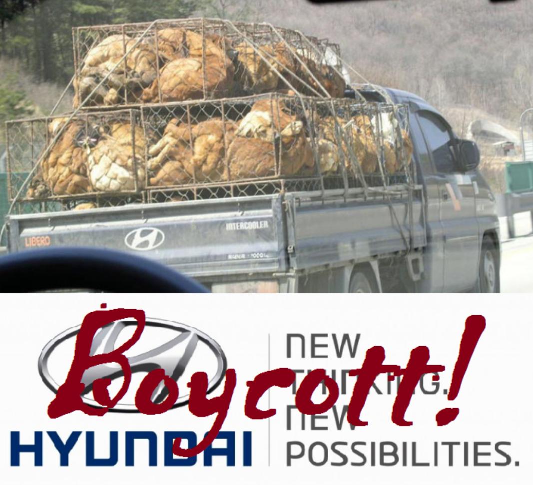 catsfromulthar's tweet image. Don't support a Nation that tortures dogs/cats ❗BOYCOTT #SouthKorea ❗ #HelpKoreanDogs m.facebook.com/story.php?stor…